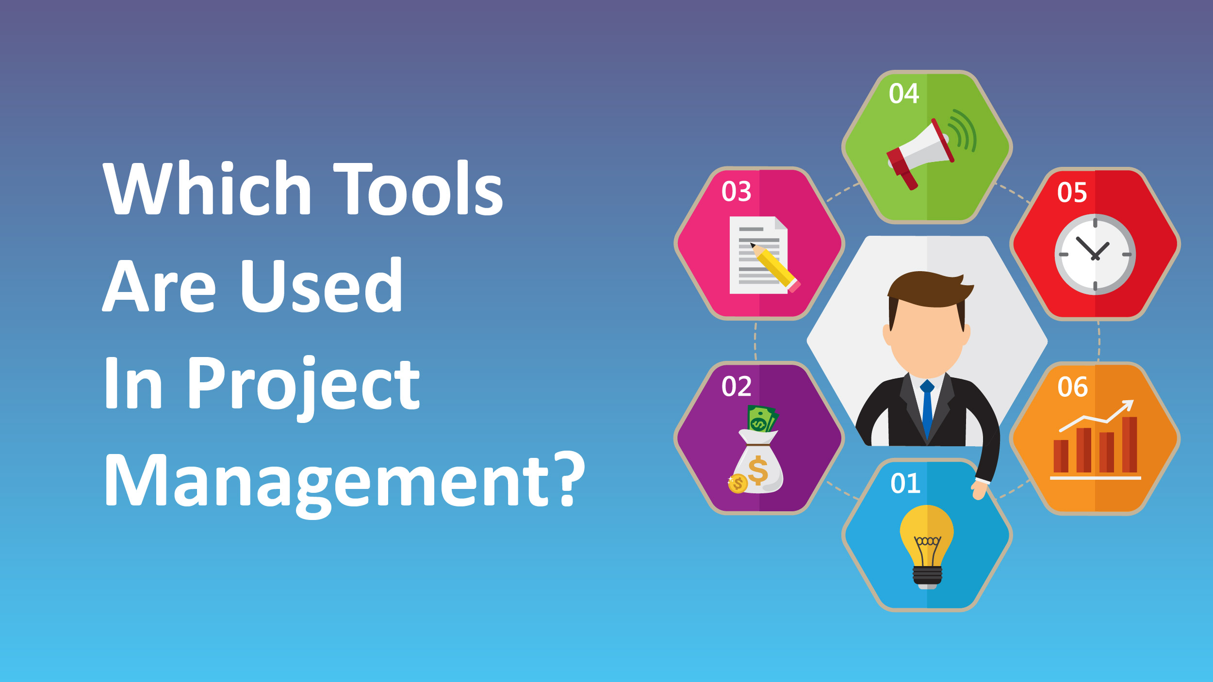 Project Managers