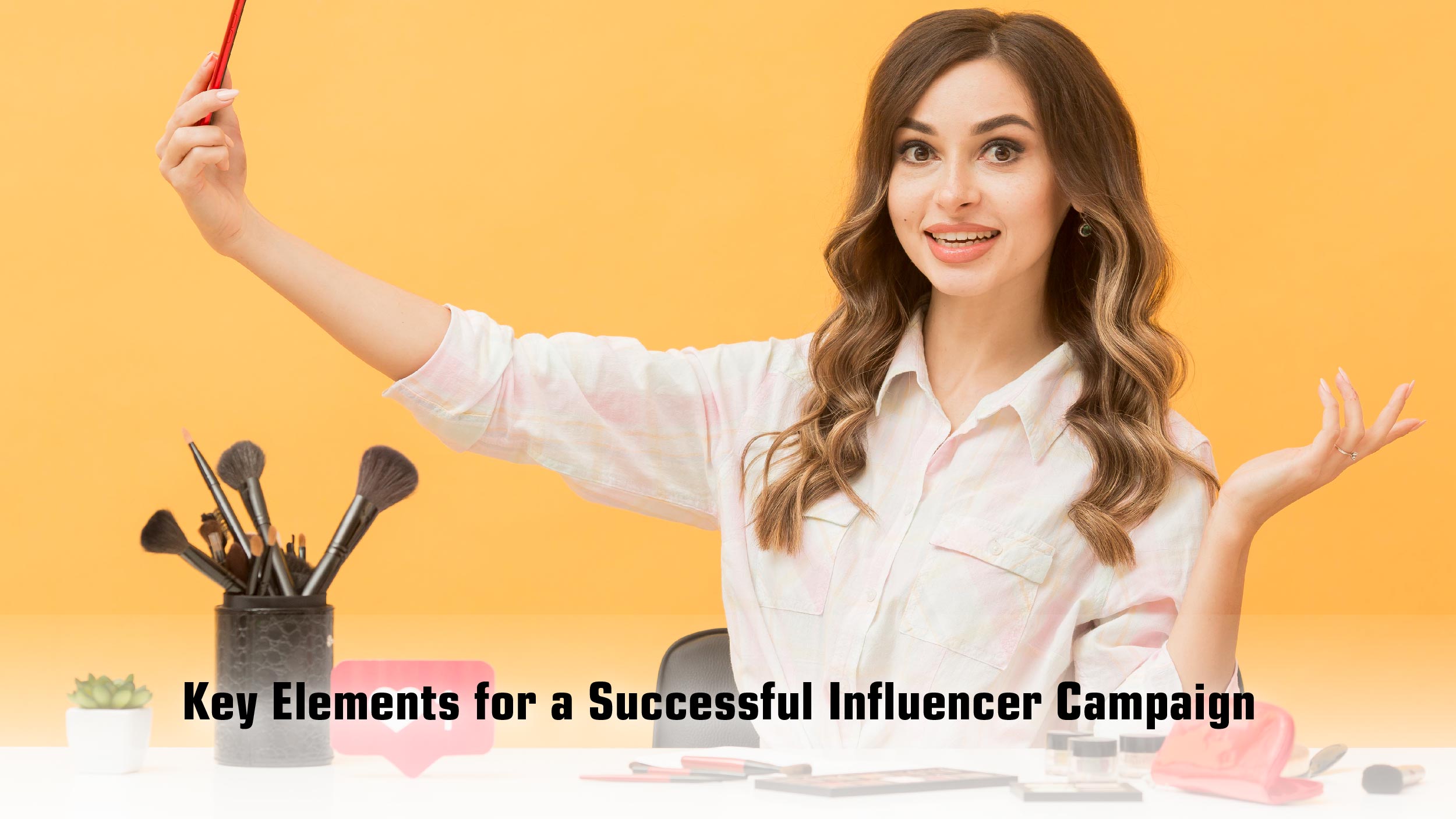 Influencer Marketing Campaign